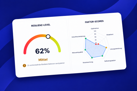 Resilienz Dashboard mit Faktor Scores